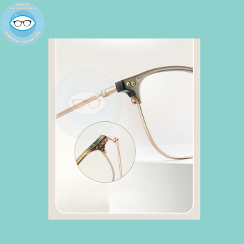 Gọng nhựa càng kính titanium mã 8151